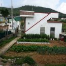 조약돌민박 이미지