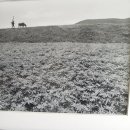 안동포 전시관 이미지