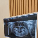 사랑니빠지는구강악안면외과치과의원 이미지