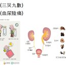 삼재구수(三災九數) 혈뇨음통(血尿陰痛)화옹＜和翁＞ 이미지