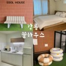 강릉여행 쏠하우스 숙소 스탠다드 후기