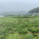 대관령 느린마을 이미지