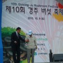 경주버섯축제 Daum카페
