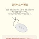 탐조 | [TOK] 이색 취미 탐조 입문자라면? <치치칫> 탐조키트 추천! 내돈내산 후기