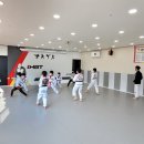 용인대한빛태권도 이미지