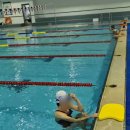 합천체육관 실내수영장 이미지