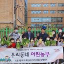 옥빛초등학교 이미지