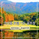 코오롱호텔 가든골프장 | 부산 근교 파3 골프장 경주 코오롱 cc 정보 및 AI 카트 후기