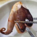 공주칼국수쭈꾸미구이 | 대전 칼국수 맛집 &#39;괴정동 공주칼국수&#39; 쭈꾸미구이 필수