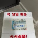 밀아재 | 캠핑요리 밀키트 추천, 스지 아롱사태 어묵탕 밀키트 추천, 아재스시 밀키트 후기