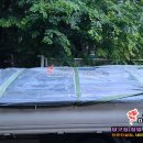 연수대대클럽 이미지