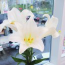 백합미용실 이미지