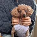 아랑씨 | 투어스를 넘 아랑해서 예산 여행 다녀온 사이