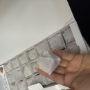 천안 사람이 가평에서 호두과자 사 먹어본 후기 (feat. 내돈내산)ㅣ가평 대성리역 맛집