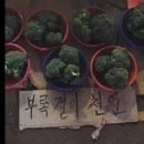 구트오피스커피