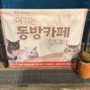 동방조명&인테리어;동방카페