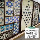 해오름전시실 이미지