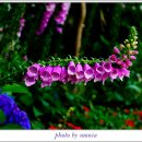 맥주정원 이미지