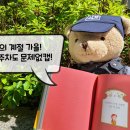 청소년도서관 주차장 이미지