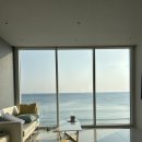 UR(포항시)-[동해안로]-상-6 | 경상도 포항 애견동반 여행ㅣ포항 대형견 애견펜션 ㅣ데이토나