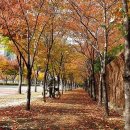 침산로22길 이미지