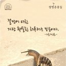영등포공원 이미지