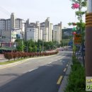 서상동155 이미지