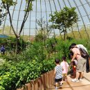 나비공원　 이미지