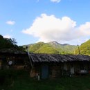 한국기행/ 나의 좌충우돌 집짓기 - 제1부. 산골 달팽이들의 천국 ~ 제5부. 집에 가는 길 이미지