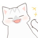 닥터코기동물병원 이미지