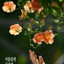 오늘더;예쁜날