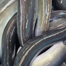 민물건강원 이미지