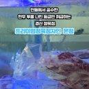 프리미엄정육점자인