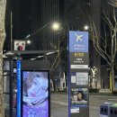 호텔스타 선릉 | [베이징 3박 4일] 베이징 두쫀쿠 맛집 공유/ 라이브포추나 호텔 - 걍 푸파 여행 ㅎ