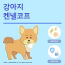 강아지 켄넬 이미지
