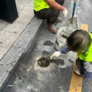 모니터링시스템 이미지