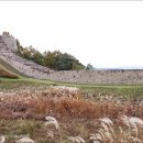 보은 삼년산성 이미지