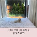 놀당스테이 이미지
