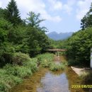 수정초 법주분교 이미지