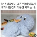 [일상] 직장인 일상 3️⃣-1