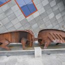 소싸움테마파크 이미지