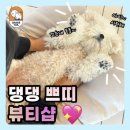 댕댕이쁘띠샵 네이버블로그