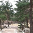 진성기프트