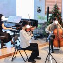 바이올린 중급반 이미지