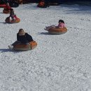 관남초교 병설유치원 이미지