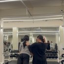 리라 핏 이미지