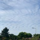 토토로마을 | [제주] 제주시 구좌읍 '동쪽 송당 동화마을' 토토로 구경 후기