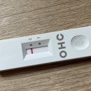 마성호내과의원 | 검사후기 | 자가키트 음성, 신속항원은 양성?