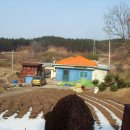 태안 해수욕장앞 바다가 보이는 농가주택 급매 이미지