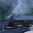 김천부항댐 산내들 오토캠핑장 이미지